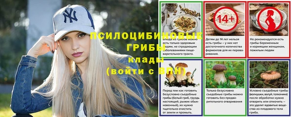 кокаин премиум Заводоуковск
