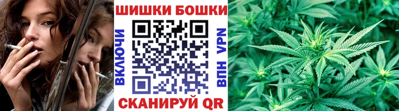 Бошки Шишки VHQ  Купить закладки  Новохопёрск 